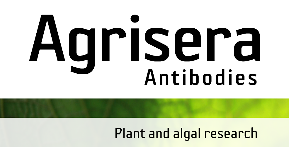 Agrisera MicroRNA相關研究植物蛋白抗體火熱促銷中！